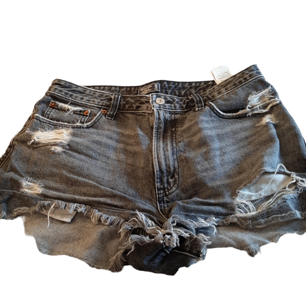 Abercrombie Shorts Size 10 (30)